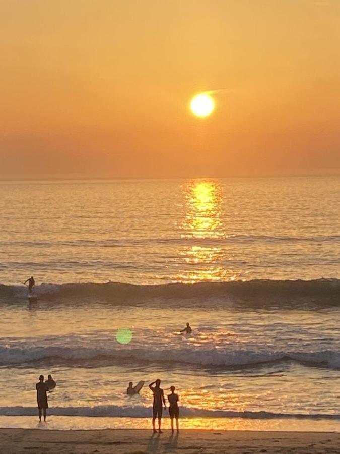 Ollies 4 Cribbar Daire New Quay Dış mekan fotoğraf