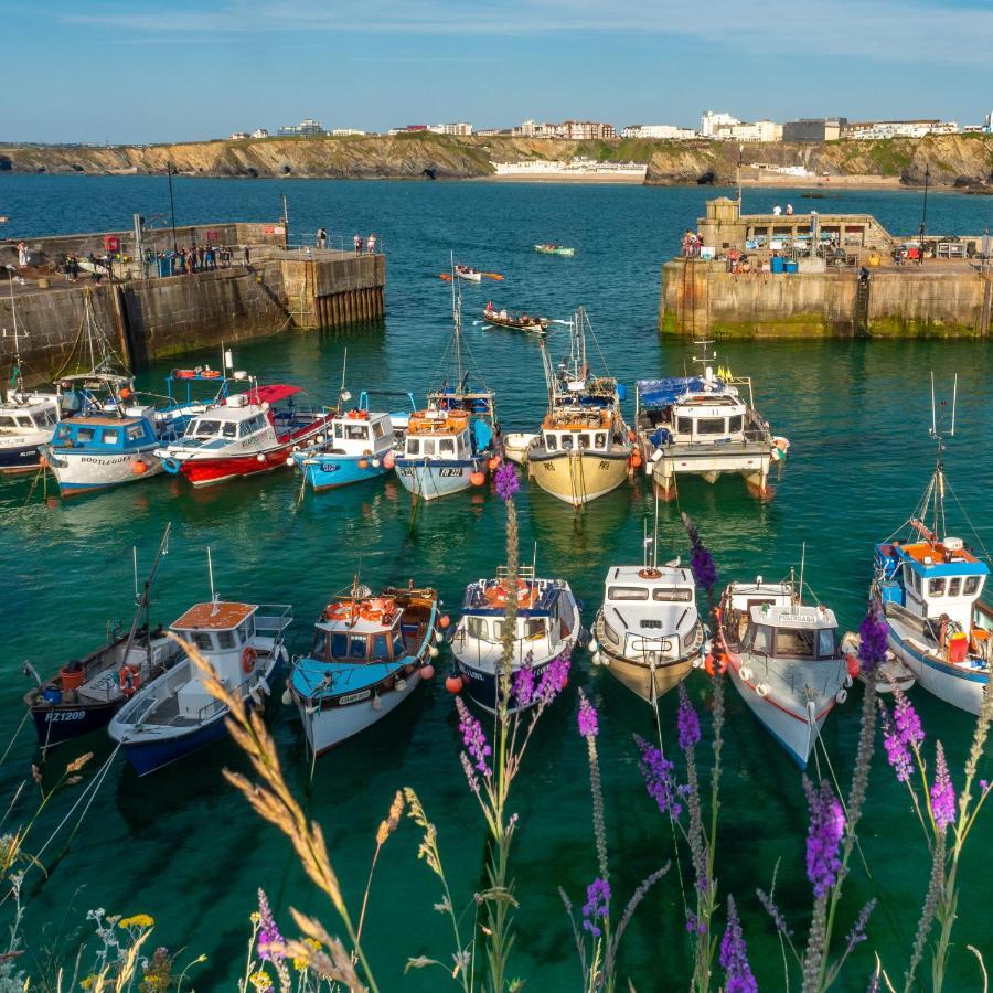 Ollies 4 Cribbar Daire New Quay Dış mekan fotoğraf
