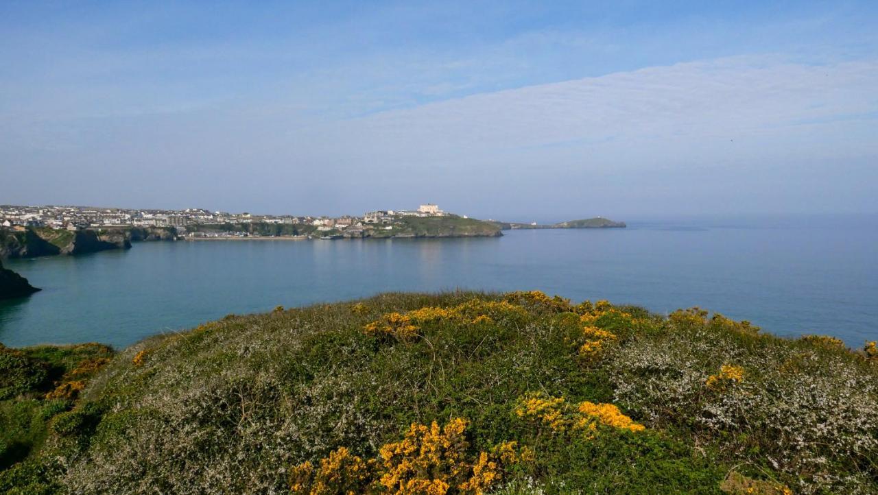 Ollies 4 Cribbar Daire New Quay Dış mekan fotoğraf