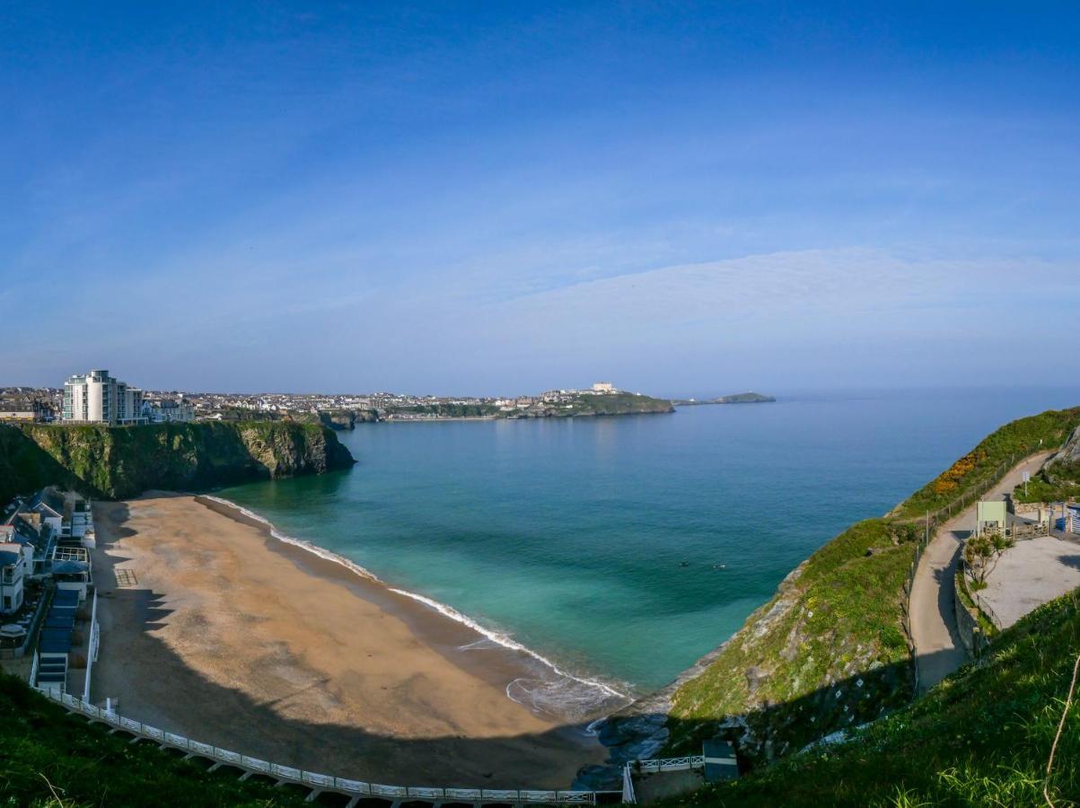 Ollies 4 Cribbar Daire New Quay Dış mekan fotoğraf